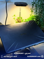 ⁦ASUS TUF USED الجيل الثامن⁩ - الصورة ⁦3⁩